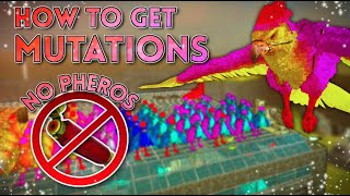 How To Build An AUTO Argy Farm! | Get Easy Mutations WITHOUT Pheromones!