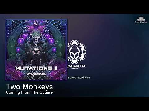 MAHD0207 Two Monkeys - Coming From The Square [Psy Trance]