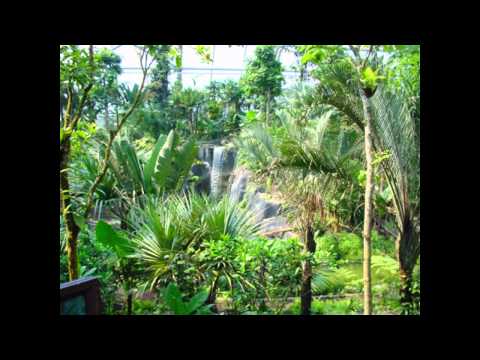 Mister. H - Revision.- goa minimale