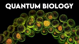 Life Figured Out Quantum Physics 3 Billion Years Before We Did