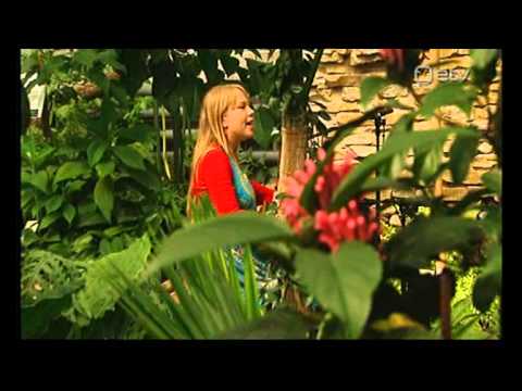 Mari Kalkun - Om laul (saates 