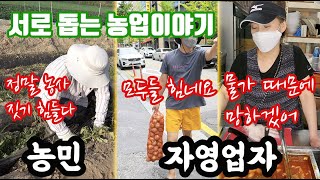 양파 마늘 나눔!! 좋은 농산물을 구하고 싶다고? 저렴하게? 싸게?? 농업 이야기??? 농민과 자영업자가 함…