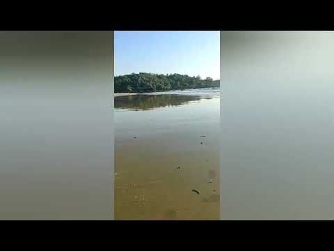GALGIBAGA BEACH GOA🌊🌊