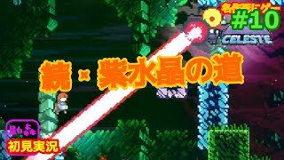 ＃１０  森川の【CELESTE ps4】【アクション】