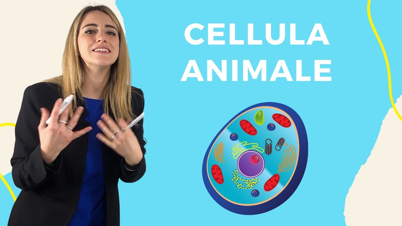 CELLULA EUCARIOTICA ANIMALE