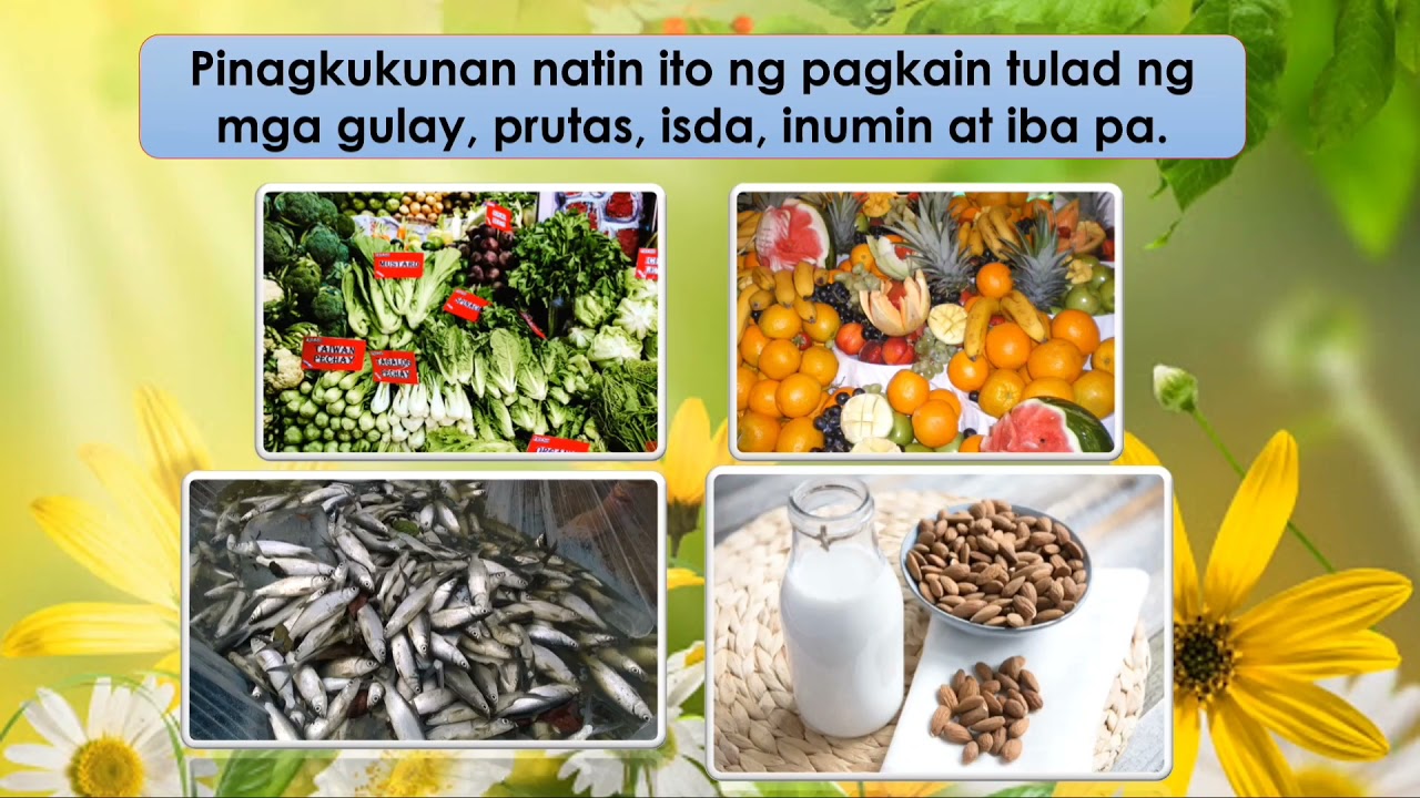 Science 3/Quarter 4/Week2/Kahalagahan Ng Mga Anyong Lupa at Tubig sa Tao at sa iba pang May Buhay