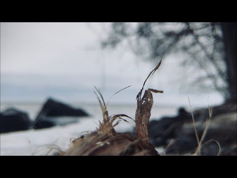 Nieve derritiéndose