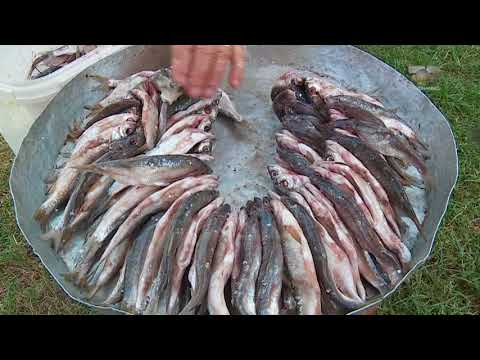 Ne Shtepine Tone, 29 Shtator 2017, Pjesa 2