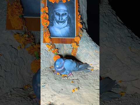 POV: When Boy Freed Pigeon  🐥From The Ghost 😱👻 | Hanuman | #ghost #bhoot #comedy #hanumanji