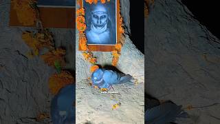 Download lagu POV: When Boy Freed Pigeon 🐥From The Ghost 😱👻 | Hanuman | #ghost #bhoot #comedy #hanumanji mp3 Download lagu POV: When Boy Freed Pigeon 🐥From The Ghost 😱👻 | Hanuman | #ghost #bhoot #comedy #hanumanji mp3