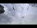Pretty Little Birds Music Video