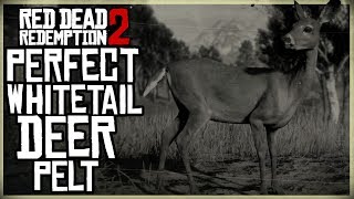 HOW TO GET A PERFECT WHITETAIL DEER PELT - RED DEAD REDEMPTION 2 PRISTINE DEER HUNT
