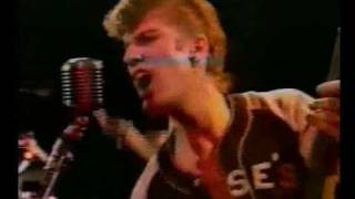 Stray Cats - Rebel rules Live !