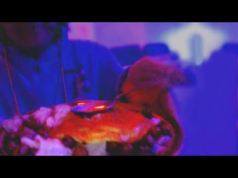 4 minutes of absolute chaos