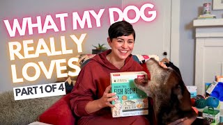 Best Dog Products of 2025 (Part 1 of 4) | Enrichment Toys, Food, and Gear I Actually Use