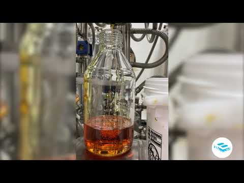 Watch us extract CBD crude oil
