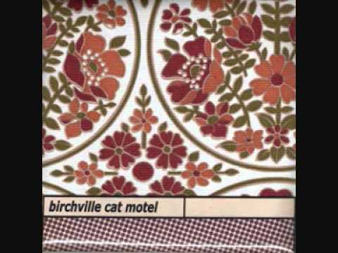 Birchville Cat Motel - Driving Golden Dopamine.wmv