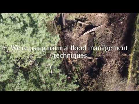 Our biggest ever nature conservation project in Cheshire