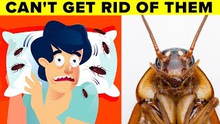Scientists Explain Why You Can&#39;t Get Rid of Cockroaches