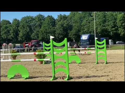 Turnierimpressionen - Amber in Bad Segeberg