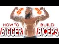 How To TRAIN FOR BIGGER ARMS! | FAST Simple FIXES & IMMEDIATE RESULTS! | Raw Dogging (ARM DAY)