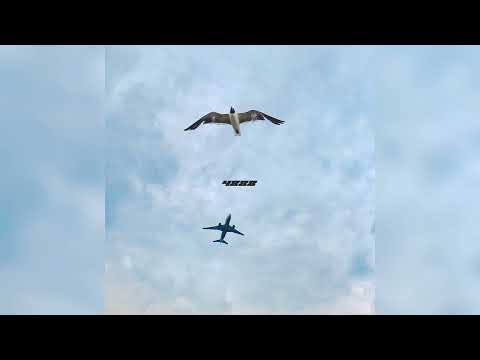 ReLoad x THIHA x PHATKIDz - STILL ON MY GRIND