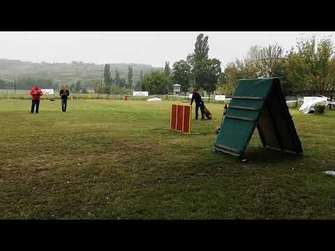 Pezoniak B' Venom IGP 1 B - 92 pont