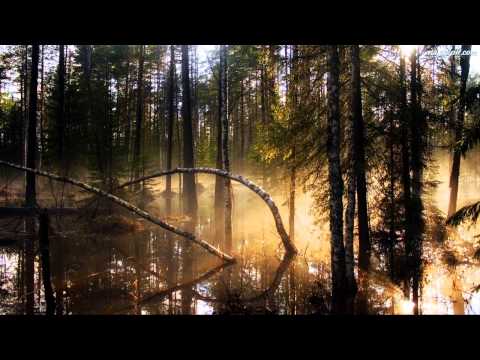 saio krucjata-chyba rozumiem