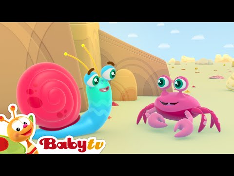 Pan Ślimak na plaży 🏖️ | Morze, krab i letnia zabawa 🌞 Bajki dla dzieci @BabyTVPL