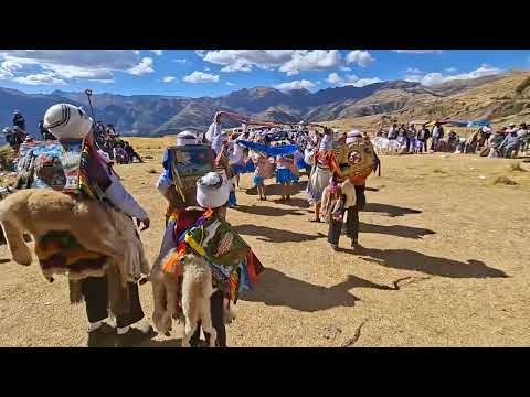 Capac Qolla de Huascar Acomayo - Cusco 2026