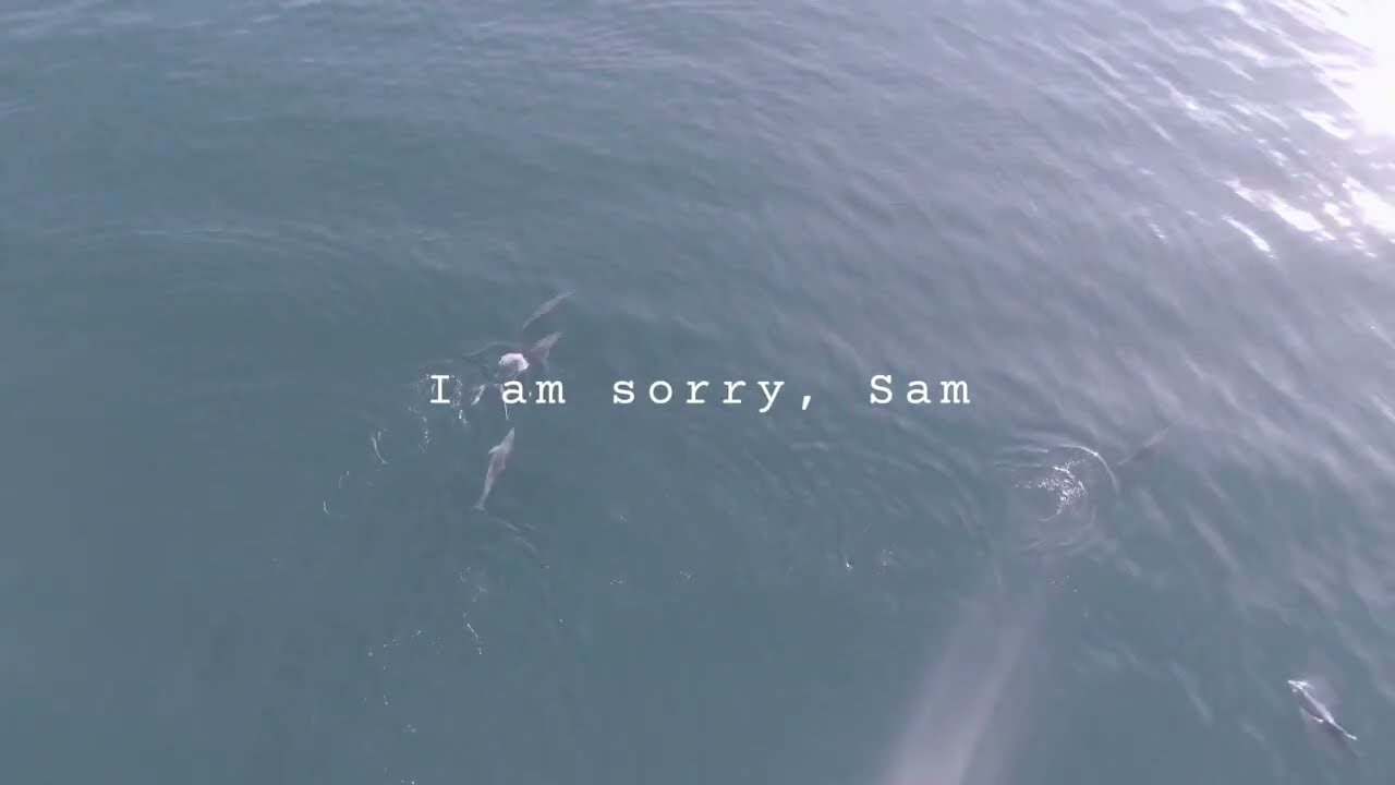 Sorry Sam | Official Lyric Video by Emily Jane Pritchard