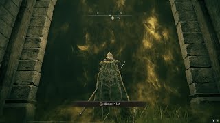 俺の黄金樹の化身【ELDEN RING】