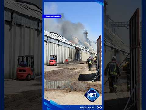 Foco activo pero controlado | ASÍ CONTINÚA EL INCENDIO EN ADECO AGRO #dalmaciovelez #incendio