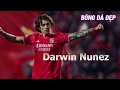 Darwin Nunez - Amazing Skills,Goals and Assists 2022
