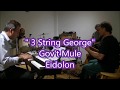 3 String George,  Gov't Mule  by Eidolon