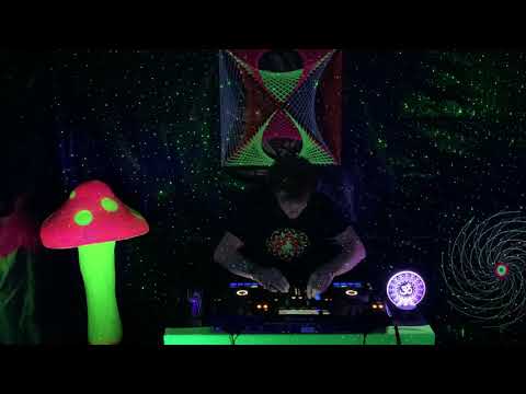 My best of Omiki & Vini Vici