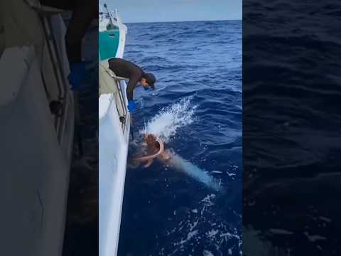 Gigantic squid attacks big squid #fishing #viral #fyp IG @daisan_ryuramaru