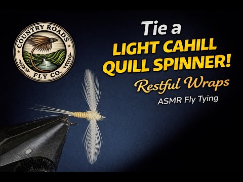Light Cahill Quill Spinner