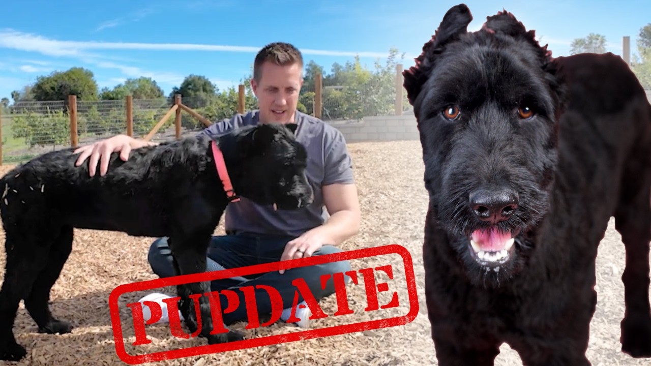 Watch the Moment I tell Valentina she's a 'Good Girl' One Last Time