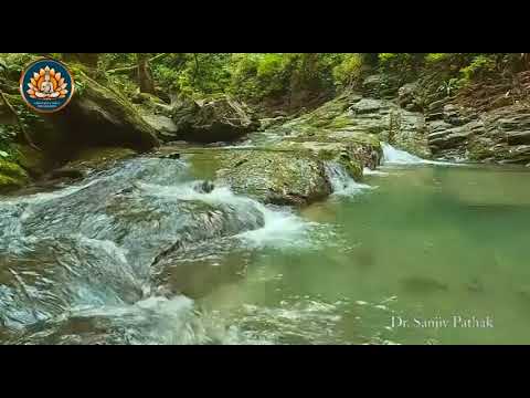 Yoga practice by Chaitanya Yoga Foundation Faridabad