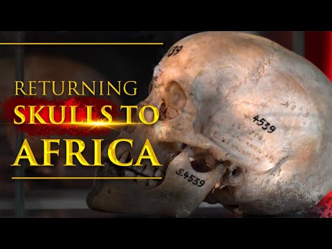 Germany Offers To Return 1,000 Skulls To Former East African Colonies