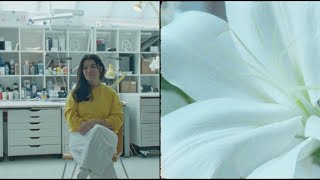 Zara 50 SONGS of THE SEA by Es Devlin