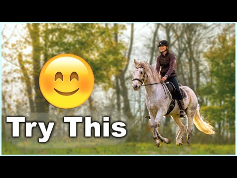 HOW TO SIT THE CANTER (Step by Step) 🐎