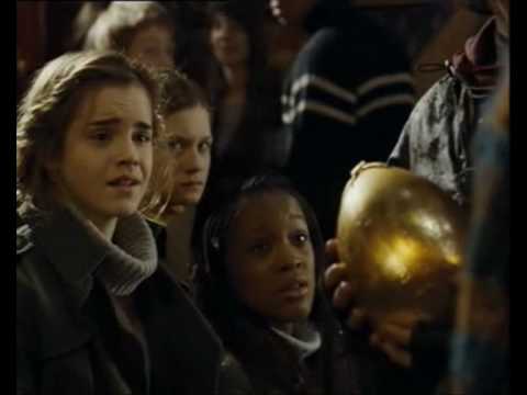 Harry Potter champion of the Triwizard Tournament -...