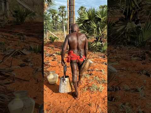 Old Traditional Method of Making Palm Jaggery in South India😱😱 #shorts #indianfood #tamil #sugar