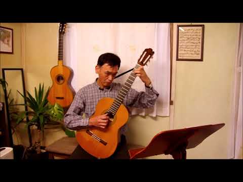 J.K.Mertz (1806-0856) / Adagio E-moll