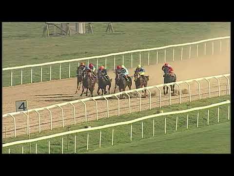 rm 20210226 03 p cagnessurmer