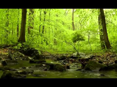 V4C Friendship and Teamwork