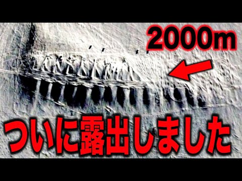 南極付近:研究者らが「この世のものとは思えない」奇妙な発見をする