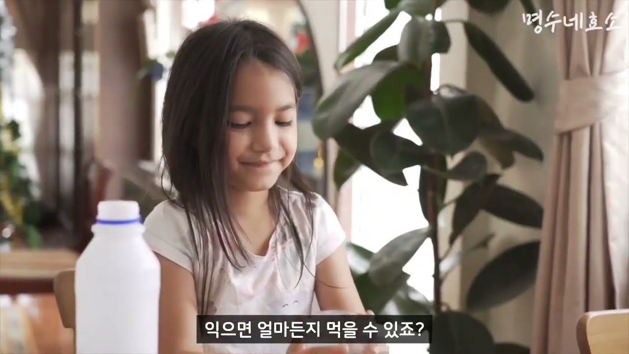 누룩요거트 그릭요거트 만들기